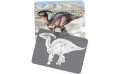Ontdekkingskaarten Dino afbeeldingen en x-ray, 24 stuks
