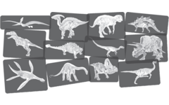 Ontdekkingskaarten Dino afbeeldingen en x-ray, 24 stuks