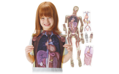 MRI-scan lichaam