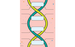 DNA bouwer, 9 delig