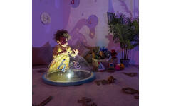 Projector bol