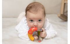 Tolo Bio Twist and Turn Rattle