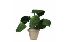 Plant van vilt, Pebbe