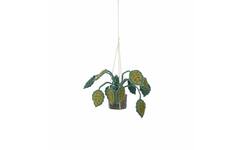 Plant van vilt, Big leaves