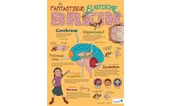 Poster Je Fantastische Elastische Brein