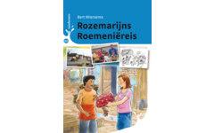 Leesfontein omnibus E6 Rozemarijns roemenie-reis