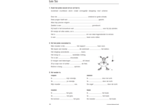 Blokboek taal groep 6 (5 stuks)