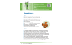 Kerndoeltrainer Begrijpend Lezen B (5 stuks)