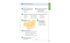 Kerndoeltrainer Begrijpend Lezen B (5 stuks)