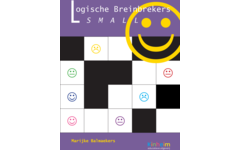 Logische breinbrekers small (5 stuks)