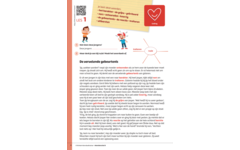 Kerndoeltrainer Woordenschat B (5 stuks)