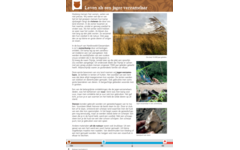 Blokboek geschiedenis groep 6 (herzien) (5 stuks)