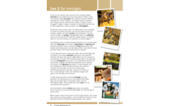 Blokboek natuur groep 6 (5 stuks)