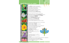 Blokboek natuur groep 5 (5 stuks)