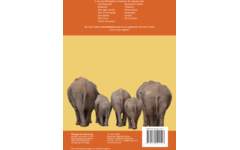 Dierenrijk werkgids (5 stuks)