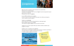 Dierenrijk werkgids (5 stuks)
