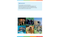 Dierenrijk werkgids (5 stuks)