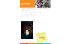 Dierenrijk werkgids (5 stuks)