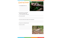 Dierenrijk werkgids (5 stuks)
