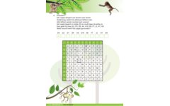 Zo in de Zoo werkgids (5 stuks)
