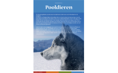 Overal dieren werkgids (5 stuks)