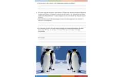 Overal dieren werkgids (5 stuks)