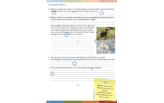 Overal dieren werkgids (5 stuks)