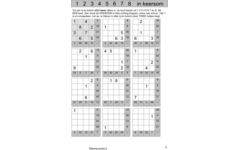 Rekenpuzzels 6 (5 stuks)
