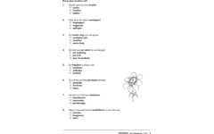 Woordbetekenis Extra (5 stuks)