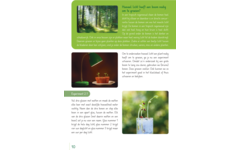 Max en de sprekende boom groep 3-5 werkboek (5 stuks)