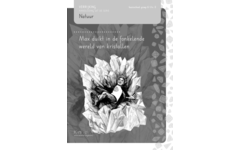 Max duikt in de fonkelende wereld van kristallen groep 6-8 handleiding