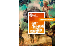 Blink Wereld Geschiedenis Bronnenboek groep 5