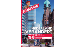Brandaan 2 leerwerkboek thema 10 groep 5-6 (5 stuks)
