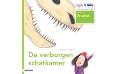 Lijn 3 prentenboek thema 8 De schat