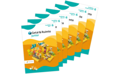 Getal & Ruimte Junior groep 6 handleiding