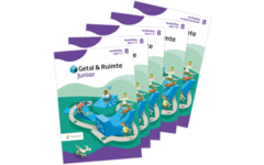 Getal & Ruimte Junior groep 8 handleiding