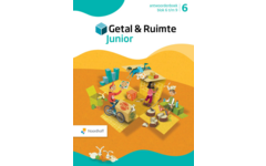 Getal & Ruimte Junior antwoordenboek leerwerkboek gr 6 deel 2