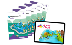 Getal & Ruimte Junior Leerpakket LEERWERKBOEKEN NIVEAU groep 8