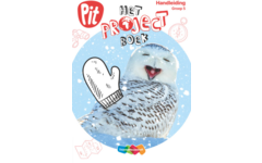 Pit Taal projectboek onderzoekend en ontwerpend leren groep 5
