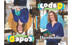 Code D Tekstbegrip groep 6 handleiding