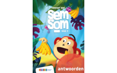 Semsom groep 3 antwoordenboek blok 3