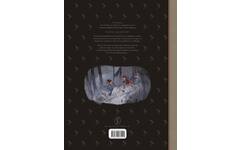 Het dagboek van Cerise: De stenen dierentuin - Joris Chamblain