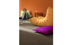 Tretford Interland 200x170cm Aardappel 571, gefestoneerd met vliesrug