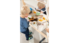 Kombi-mobil Natuur Workshop voor kleintjes