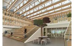 Rolf More - Tafelboom, D4