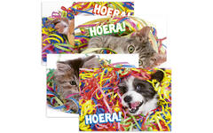Miniposters 1048 confettidieren, 4 motieven, 20 stuks