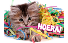 Miniposters 1048 confettidieren, 4 motieven, 20 stuks