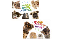 Miniposters 1049 dierenvrienden, 2 motieven, 20 stuks