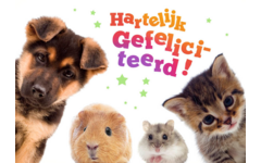 Miniposters 1049 dierenvrienden, 2 motieven, 20 stuks