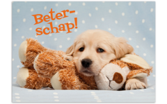 Miniposters 1054 beterschap, 2 motieven, 20 stuks